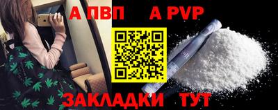 стаф Шелехов