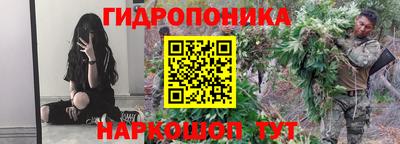 гашик Шахты