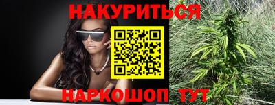 гашик Шахты