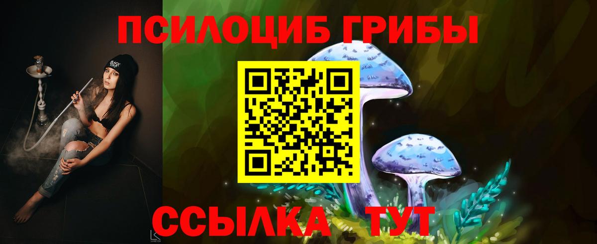 Галлюциногенные грибы Magic Shrooms  Галлюциногенные грибы Cubensis  Ульяновск  Вход с VPN 